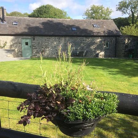 The Bakery Villa Llanddeiniol Bagian luar foto