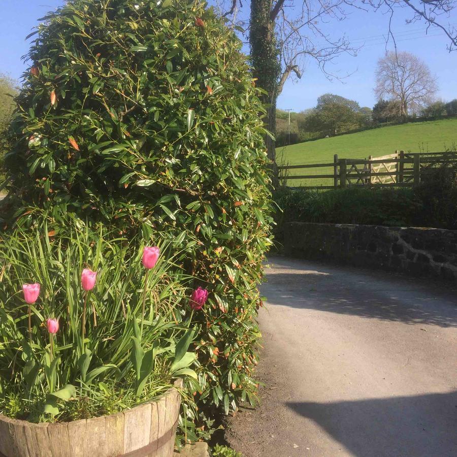 The Bakery Villa Llanddeiniol Bagian luar foto